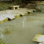 Le lavoir de Saint Saturnin en beauté !