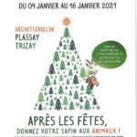 Une deuxième vie pour votre sapin