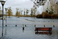 Charente déborde janvier 2013 (10).jpg