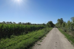 sur la Flow vélo dans la plaine le 25 août 20 (1).JPG