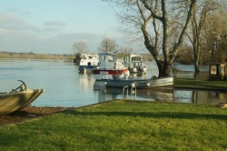 La Charente en janvier 2021 (2).JPG