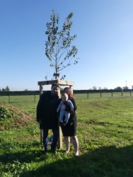 Un arbre, un enfant 19 novembre (7).JPG